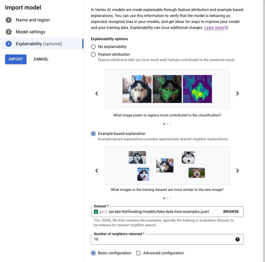 Layar impor model di konsol yang menampilkan opsi yang tersedia di tab Explainability.