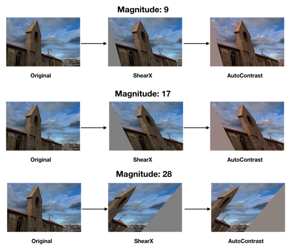 Aplicación de RandAugment a una imagen