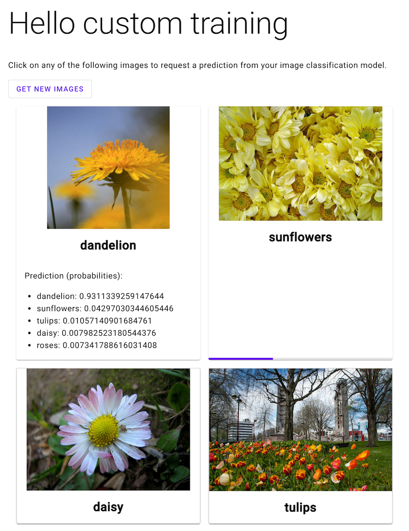 ウェブアプリで、ラベル付きの花の画像が 4 つ表示されている。1 つの画像の下に予測ラベルの確率が表示されている。別の画像の下には、読み込みの進行状況を示すバーが表示されている。