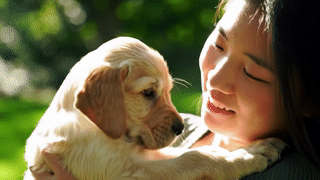 Un cachorro en brazos de una niña.