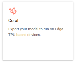 opzione esportazione coral (edgetpu tflite)