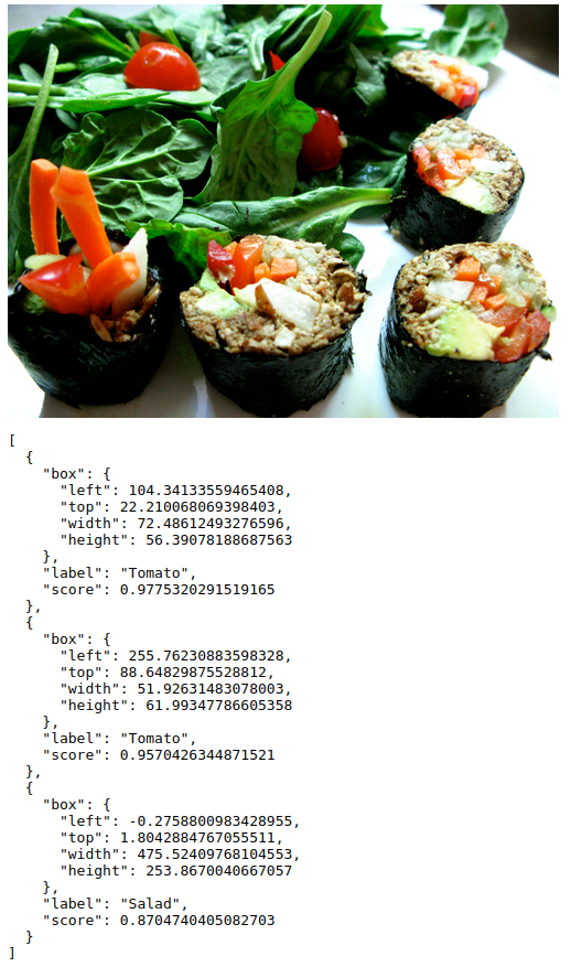 20 Javascript Image Object Detection